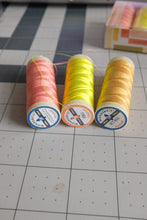 Load image into Gallery viewer, Warm & Vibrant Thread Trio Set