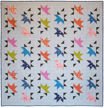Load image into Gallery viewer, Solar Slice Quilt Pattern